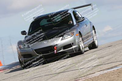 media/Mar-31-2024-Speed Ventures (Sun) [[a3b2bf813d]]/Purple/Session 2 (Grapevine)/